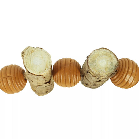 Turbo by Coastal Dangle Fish Catnip Cat Toy Blue - Poudre Pet & Feed Supply 2